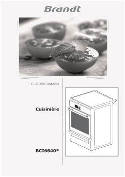 Brandt BCI6640BCI6640TBCI6650TBCI6651WBCI6652WBCI6654WBCI6653WBCI6657XBCI6656ABCI6658T Manuel utilisateur