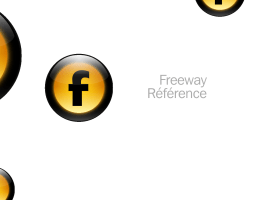 Tri-Edre Freeway Pro 4.0 Manuel utilisateur