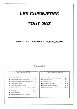 Vedette CW1403F1 Manuel utilisateur