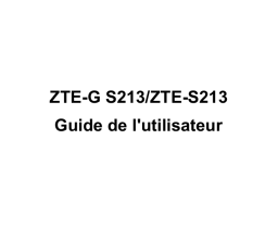 ZTE G-S213 Manuel utilisateur
