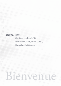 BenQ FP991 Manuel utilisateur