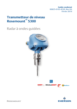 Rosemount Transmetteur radar à ondes Manuel utilisateur