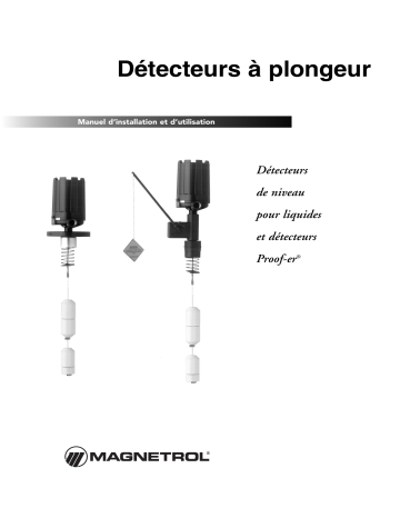 Mode d'emploi | Magnetrol Displacer Switch Manuel utilisateur | Fixfr