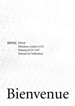 BenQ FP91E Manuel utilisateur