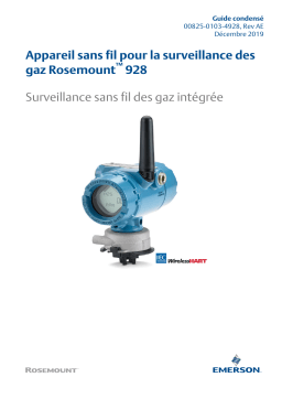 Rosemount Appareil sans fil pour la surveillance des gaz 928 Manuel utilisateur