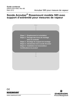 Rosemount Sonde Annubar® modèle 585 avec support d’extrémité pour mesures de vapeur Manuel utilisateur