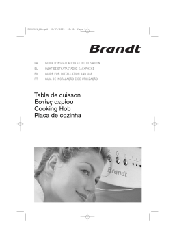 Brandt TE670XS1 Manuel utilisateur