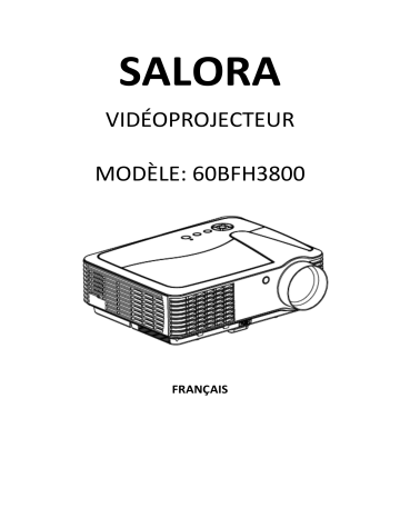 Salora 60BFH3800 Vidéoprojecteur / Beamer Manuel du propriétaire | Fixfr
