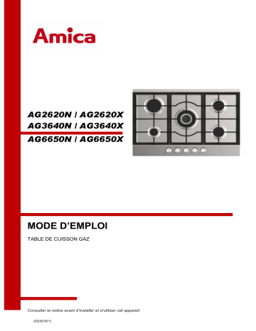 AG3640N | Amica AG3640X Taque au gaz Manuel du propriétaire | Fixfr