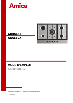 Amica AG6650X (75cm) Taque au gaz Manuel du propriétaire