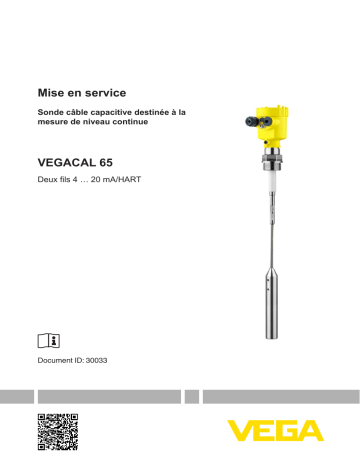 Vega VEGACAL 65 Capacitive cable probe for continuous level measurement Mode d'emploi | Fixfr