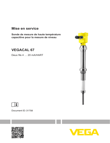 Vega VEGACAL 67  Mode d'emploi | Fixfr