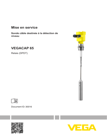 Vega VEGACAP 65 Capacitive cable probe for level detection Mode d'emploi | Fixfr