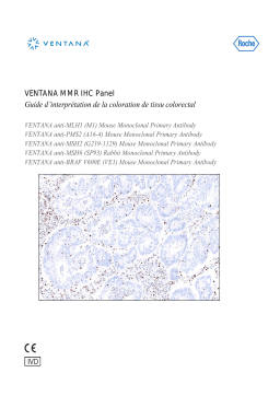 Roche Staining Colorectal Tissue for VENTANA MMR IHC Panel (OUS) Manuel utilisateur
