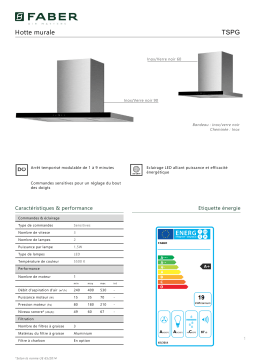 Faber TSPG 600 INOX/VERRE NOIR Hotte décorative murale Product fiche