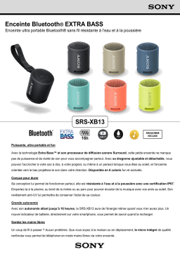 Sony SRS-XB13 Gris Minéral Enceinte Bluetooth Product fiche