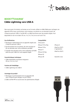 Belkin USB-A 2m noir Câble Synchro Product fiche