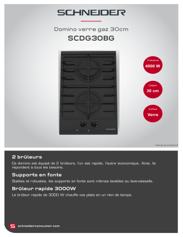 Product information | Schneider SCDG30BG Domino gaz Product fiche | Fixfr