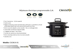 Crock Pot CSC061X-01 2.4L Mijoteuse Product fiche