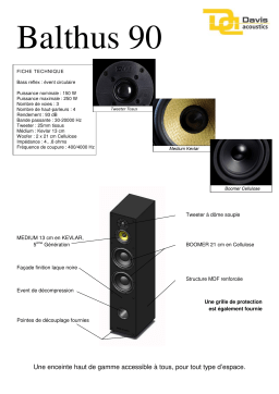 Davis Balthus 90 Frêne Enceinte colonne Product fiche