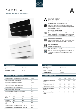 Roblin CAMELIA 800 VERRE BLANC Hotte décorative murale Product fiche