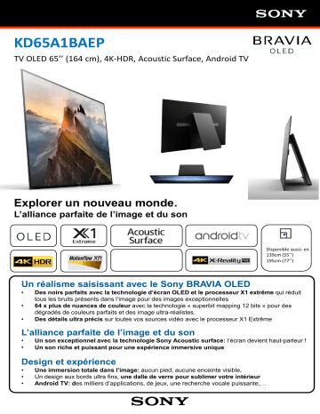 Product information | Sony KD65A1 TV OLED Product fiche | Fixfr