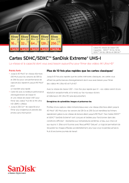 Sandisk EXTREME SDHC 32 Go 90 MB/s Carte SD Product fiche