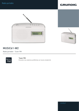 Grundig Music 61W2 Radio analogique Product fiche