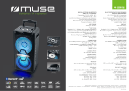 Muse M-1920 DJ Enceinte sono Product fiche