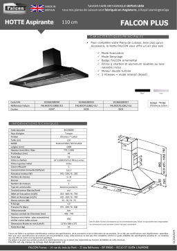 Falcon FALHDCP110BC/-EU Hotte grande largeur Product fiche