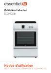 Essentielb ECI602b Cuisini&egrave;re induction Owner's Manual