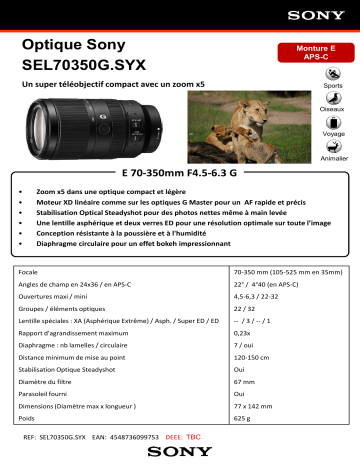 Product information | Sony APSC E 70-350mm F4.5-6.3 G OSS Objectif pour Hybride Product fiche | Fixfr