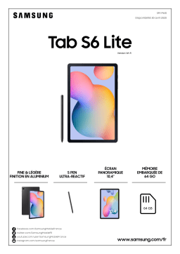 Samsung Galaxy Tab S6 Lite 64Go SPen Grise Tablette Android Product fiche