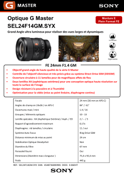 Sony FE 24mm F1.4 GM Objectif pour Reflex Product fiche