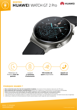 Huawei Watch GT 2 Pro Classique Montre connectée Product fiche