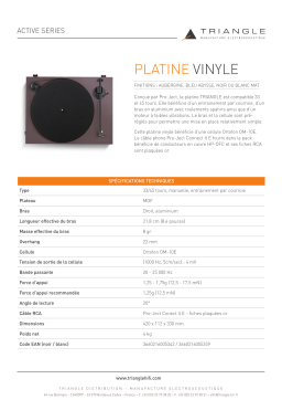 Triangle vinyle Aubergine Platine vinyle Product fiche