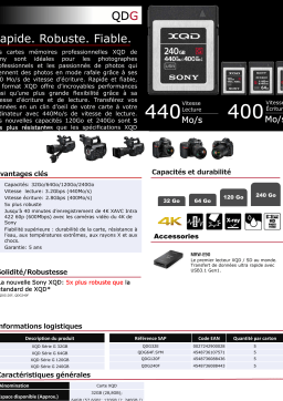 Sony XQD 240Go G series Carte XQD Product fiche