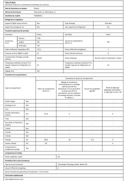 Hisense RS696N4IC1 Réfrigérateur Américain Product fiche