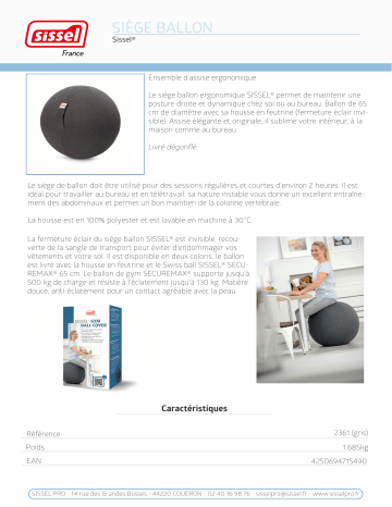 Manuel du propriétaire | Sissel Siège ballon Coussin ergonomique Owner's Manual | Fixfr