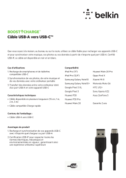 Belkin 3M Noir Câble USB C Product fiche
