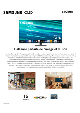 Samsung QE65Q80A 2021 TV QLED Product fiche