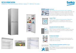 Beko RCSE300K30SN Réfrigérateur combiné Manuel utilisateur