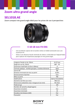 Sony SEL 10-18mm f/4 OSS Noir Objectif pour Hybride Product fiche