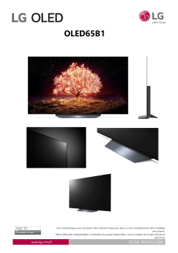 LG 65B1 2021 TV OLED Product fiche