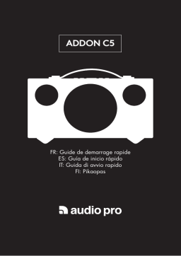 Audio Pro C5 Gris Enceinte Manuel du propriétaire