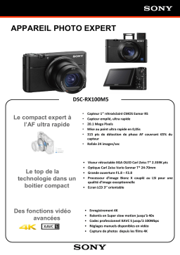 Sony DSC-RX100 Mark V A Appareil photo Compact Product fiche