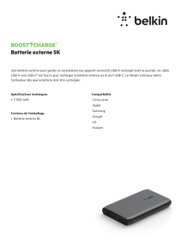 Belkin 5 000 mAH 1xUSB noir Batterie externe Product fiche