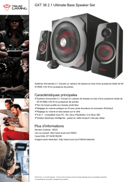 Trust GXT 38 Enceinte PC Product fiche