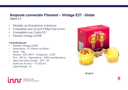 Innr E27 x2 Connectée Vintage fil 2200K 3.0 Ampoule connectée Product fiche