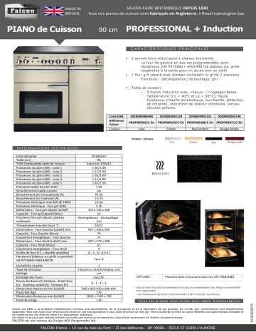 PROFESSIONAL + 90 INDUC NOIR BRILLANT | PROF+90 INDUC CREME | Product information | Falcon PROF+90 INDUC INOX Piano de cuisson induction Manuel utilisateur | Fixfr